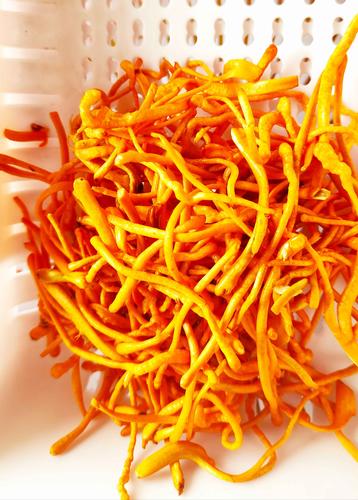 新鲜虫草花鸡汤