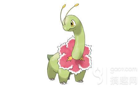 口袋妖怪复刻大菊花怎么配招 大菊花配招推荐