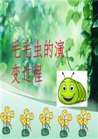 毛毛虫的演变过程分解.ppt