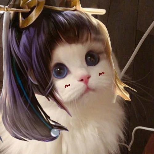 街头霸王:超可爱的王者荣耀猫猫开黑头像,请查收