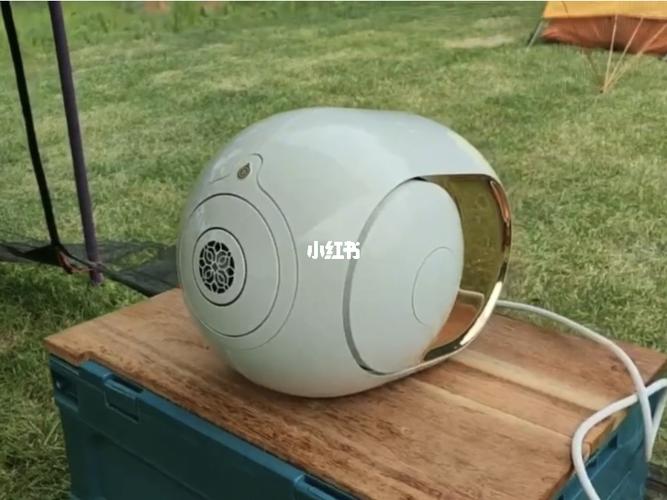 新款帝瓦雷音响devialet 108db户外买家秀_音箱_音响