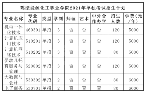 鹤壁能源化工职业学院