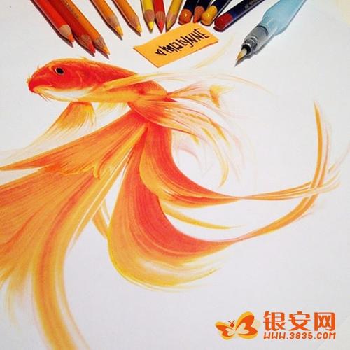 超现实的动物图画太惊人了