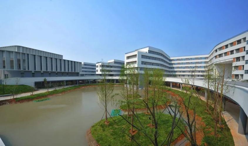 爱上杭州湾的十大理由教育走进宁波科学中学