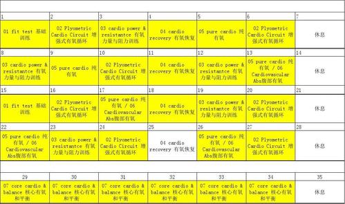 insanity63天健身计划中文课程表