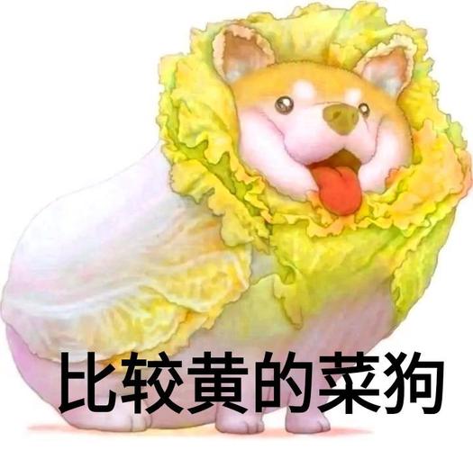 菜狗表情包系列