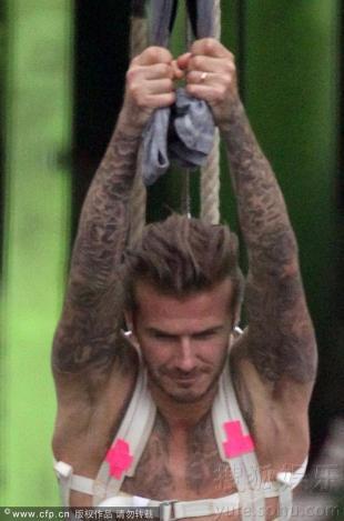 小贝拍广告凌空吊威亚敬业 穿紧身内裤下体激凸(组图)