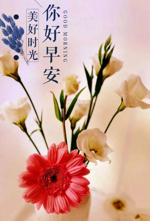 2022早晨很美的问候祝福图片 早上好暖暖的问候