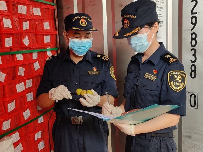 20210610图为:海关关员正对出口荔枝进行查验