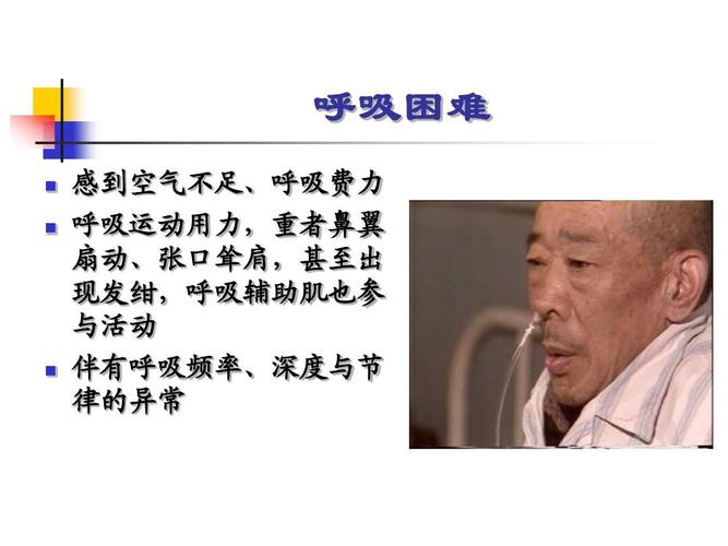 pbl呼吸困难ppt