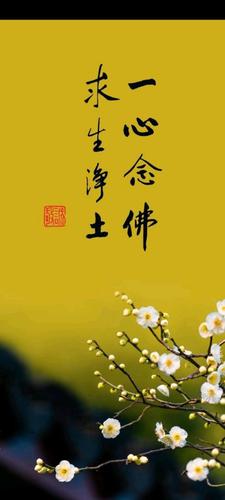 壁纸|佛系壁纸而已