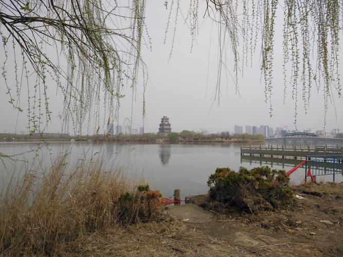 成武县发展潜力大 文亭湖风光美如画