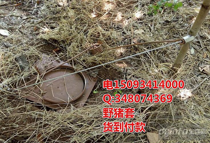 最好的绳子野猪地套的制作图解单向锁头钢丝绳锁扣锁地套野猪套子报警