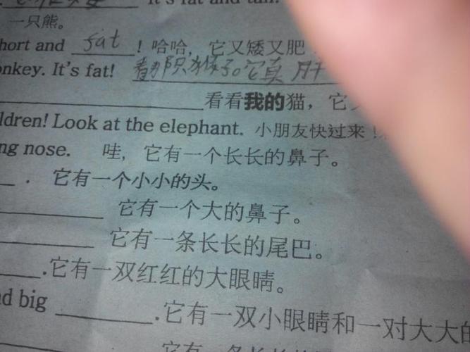 看看我的猫,它又胖又肥的英文单词怎么写
