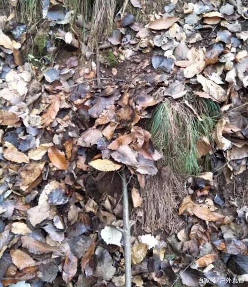 手搓麂子吊脚套安装使用教程