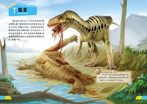 恐龙书大百科 全8册 揭秘恐龙世界3-6-9-12岁儿童百科