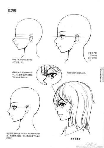 漫画教程漫画技法从入门到精通头部基础篇230p