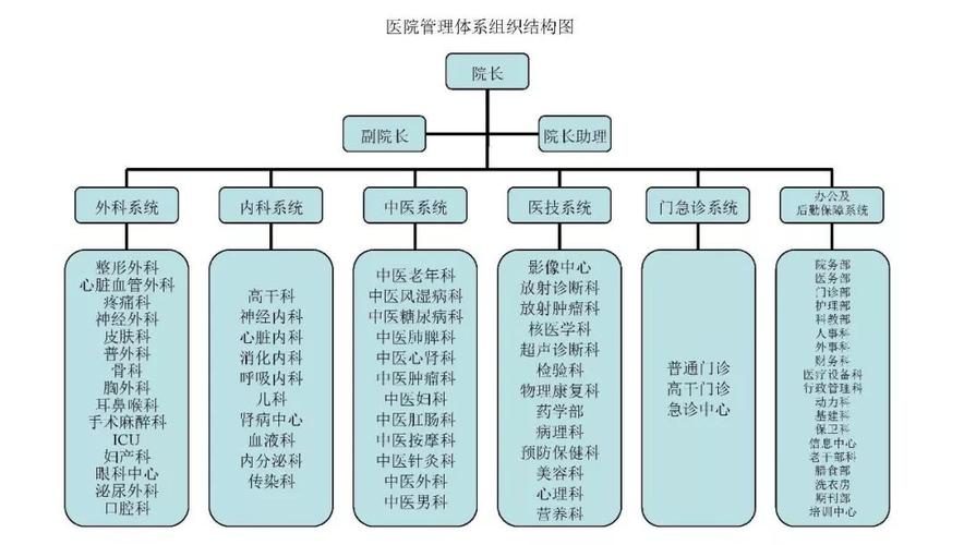 医院管理体系组织结构图