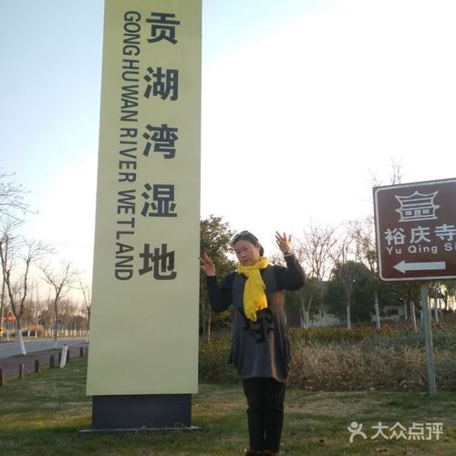 贡湖湾湿地公园