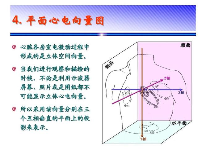 心电图的产生原理(一)ppt