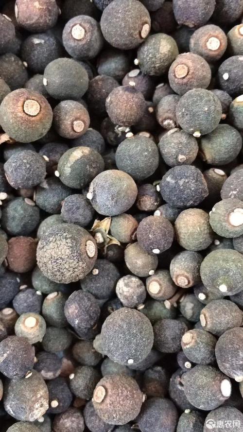 枳实 柑橘落地果,橙类干果,全规格供应