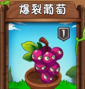 植物大战僵尸2爆裂葡萄图鉴 爆裂葡萄属性技能
