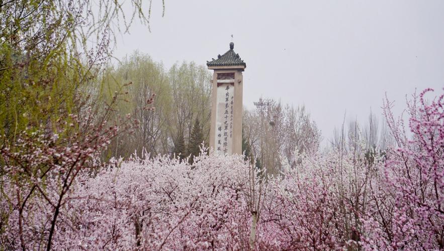 在那桃花盛开的公主府公园