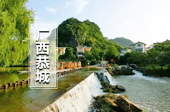 特价|恭城柿子节,一起游果园,品柿子.