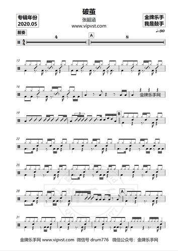 张韶涵 - 破茧 鼓谱(动态)15元