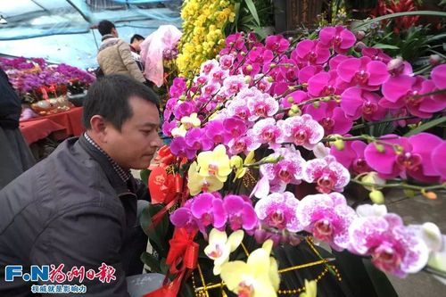福州三大花市采购攻略请收好!