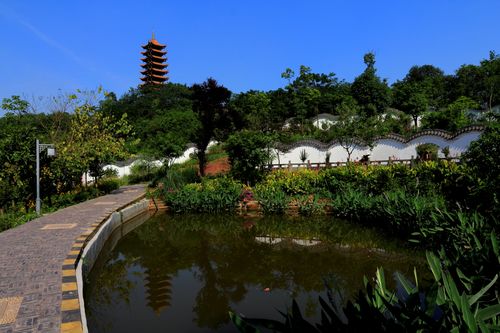 重庆照母山森林公园 ---"近自然"生态理念营造城市森林风景