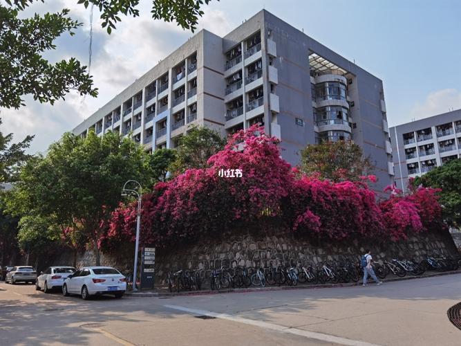 北理珠的角角落落_景点_北京理工大学(珠海学院)自由行热门攻略_出行