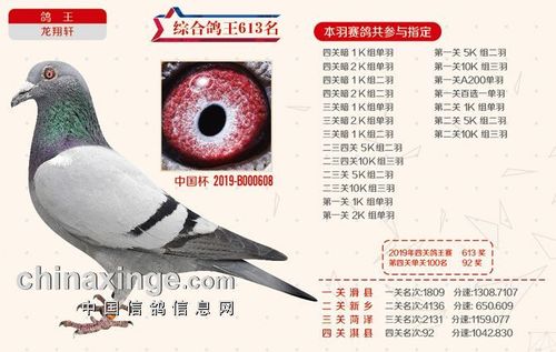 龙翔轩