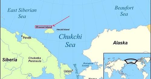 俄国弗兰格尔岛自然保护区