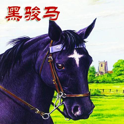 黑骏马
