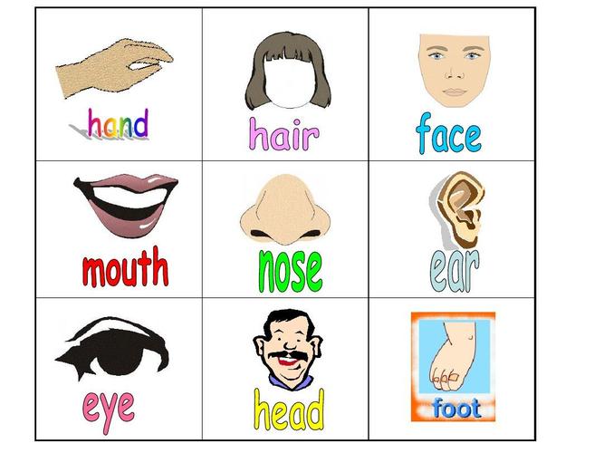 三年级上册英语课件-unit 6 touch your head广州版(一起) (共11张ppt