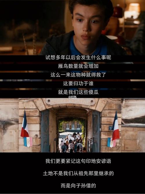 今日电影分享78『给我翅膀』_电影_给我翅膀影评_周末_仓鼠_学习