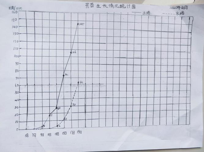 记录蒜苗成长14天数据统计