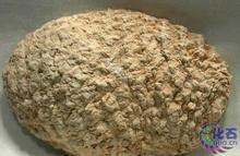 你要是还有这样的化石,可以做切片,方法就是将果实化石切开,然后细细