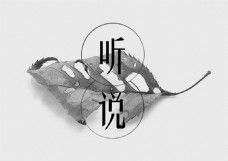 听说(字体设计)