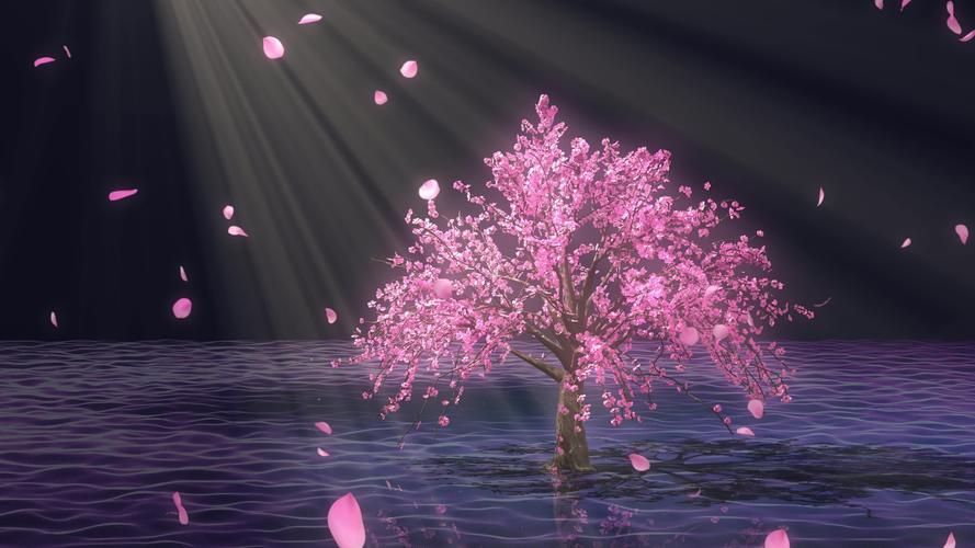 唯美桃树飘花瓣_2880x1620_高清视频素材下载(编号:)