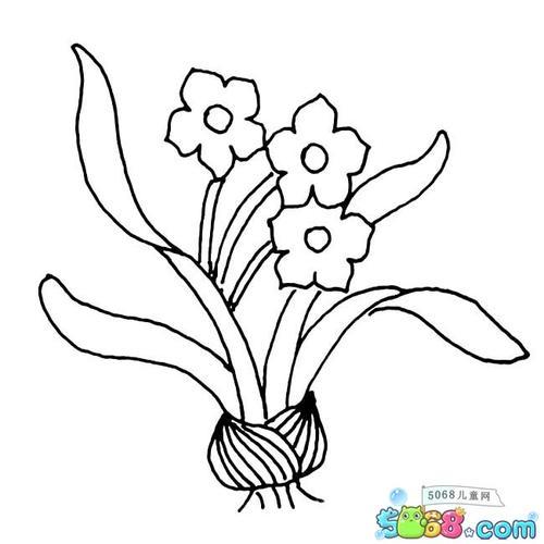 水仙花简笔画ai素材