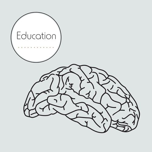 黑色大脑图案图片