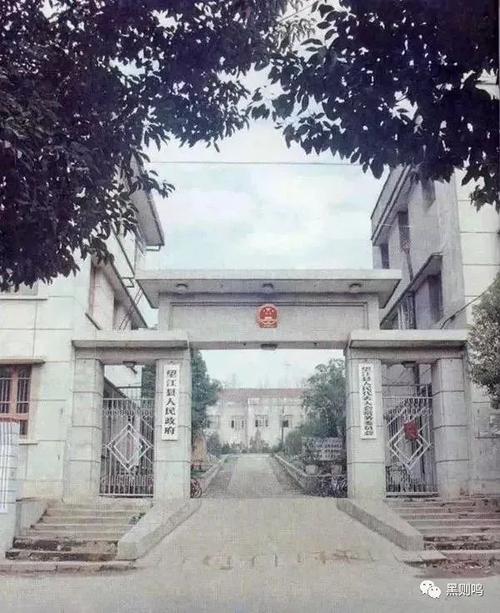 重磅照片:政府大门