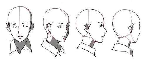 不同方向的人脸怎么画?教你不同角度的面部画法教程