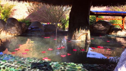 万花谷玫瑰庄园温泉