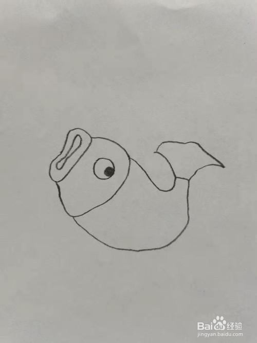 小鲤鱼怎么画