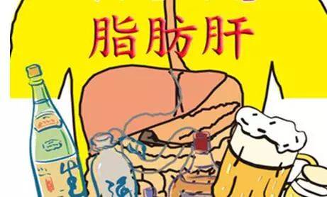 聊辽天丨食物疗法治疗脂肪肝,简单又方便!