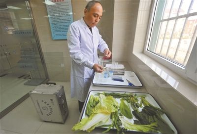 郑学强对蔬菜农药残留进行检验. 渤海早报记者 王琛 摄