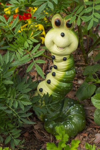 毛毛虫图片_毛毛虫图片大全_全景图片